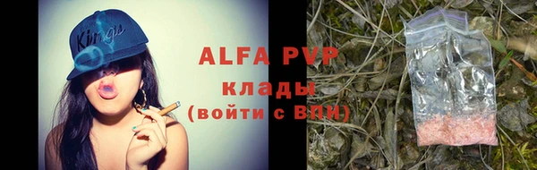 гидра Арсеньев