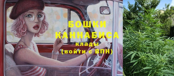гидра Арсеньев
