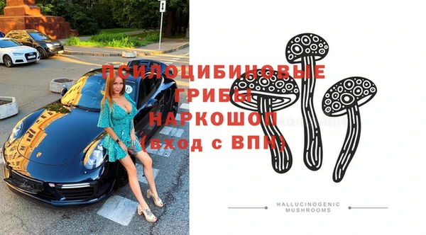 винт Армянск