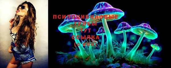 винт Армянск